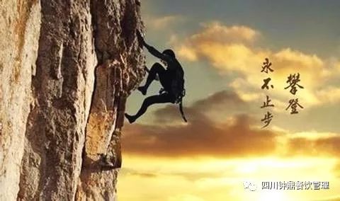 1651293768100019.jpg 2.jpg